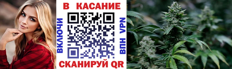 Где купить наркоту Старица КОКАИН Псилоцибиновые грибы Конопля Меф мяу мяу mega ссылка Альфа ПВП