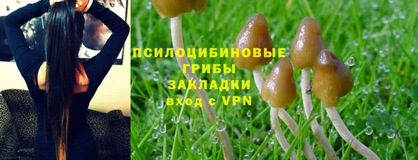 гашишное масло Армянск