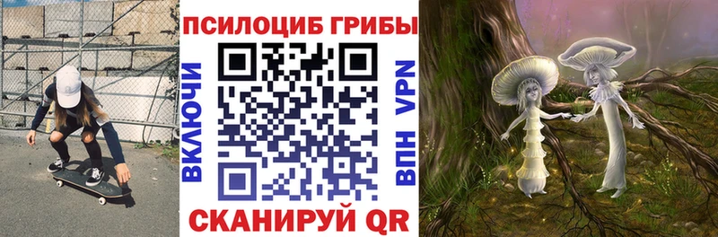 цены наркотик  Старица  Псилоцибиновые грибы MAGIC MUSHROOMS 